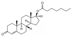 What is Testosterone Enanthate