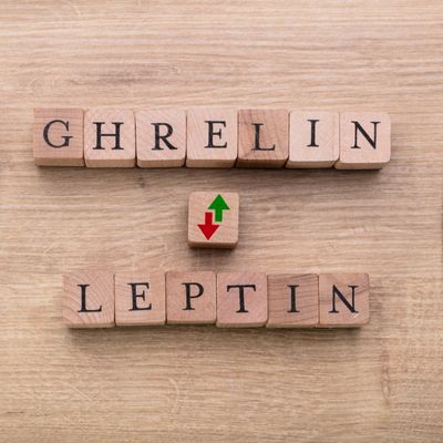 ghrelin and leptin and related to weight gain and loss